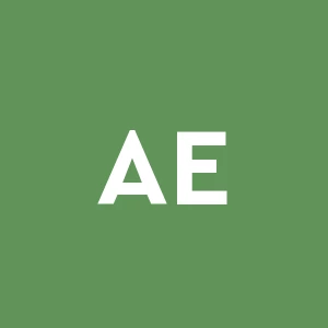 A.f. Edile Srl