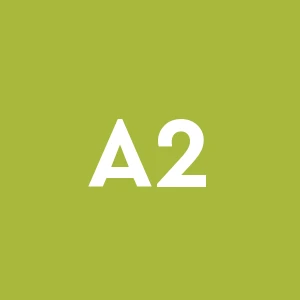 Architettura 2000 Di Cacciapuoti Giuseppe S.a.s.