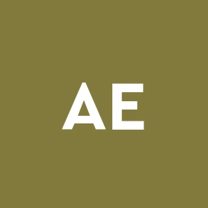 Attivita' Edilizie Bergamasche S.r.l.