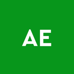 Attivita' Edilizie Pavesi S.r.l.