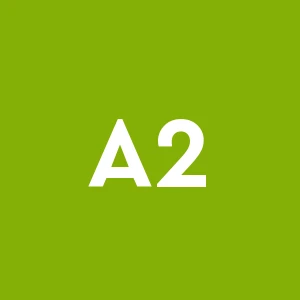 Autospurgo 24 Su 24 Edilizia Generale - Spurgo Reti Fognarie e Pozzi Neri