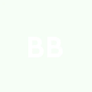 B & b Corporation S.r.l.