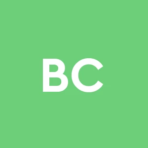 Baldecchi Costruzioni S.r.l.