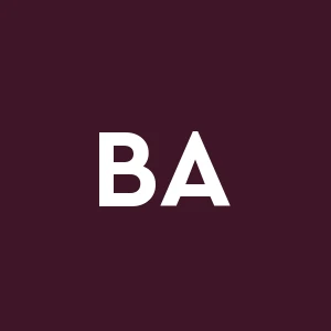 Baldoni Amerigo Srl Impresa Edilemovimento Terra e Costruzioni