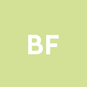 Balestri Francolavori Edili
