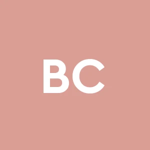 B.art Cartongesso S.n.c.