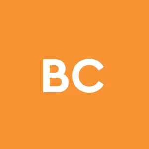 Best Company Costruzioni S.r.l. Societa' Unipersonale