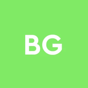 B.g.p. General Bau S.r.l.