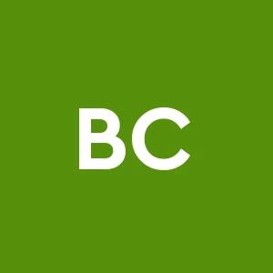 Bizzarro Costruzioni Srl