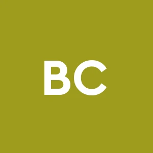 Bm Costruzioni Srl