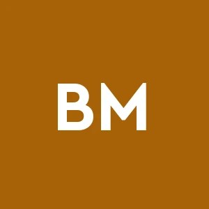 Bollini Mario e C. - Impresa Bollini Mario & C. S.n.c.