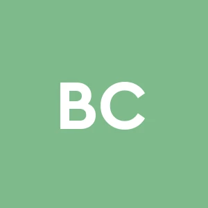 Bontorin Costruzioni S.r.l. Unipersonale