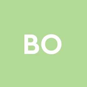 Borrellimanutenzionepiemonte
