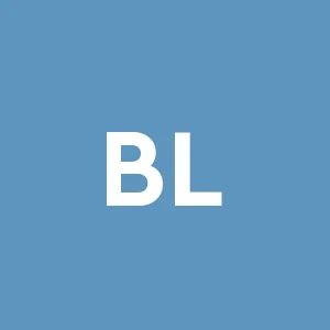 Borriello Luigi S.r.l.