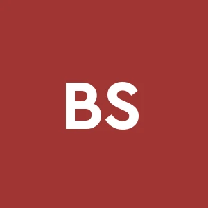 Borsari S.r.l.impresa Costruzione