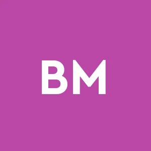 Bressanelli Manutenzioni S.r.l.