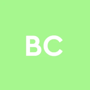 Brugger Christian C. Brugger S.r.l. Impresa Edile