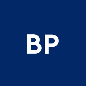 Business Plan Srl