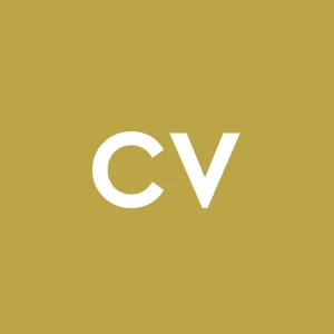 Commerciale Villanovese