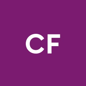 Controsoffitti Fratelli Chianese Srl