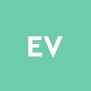 E v z S.r.l.