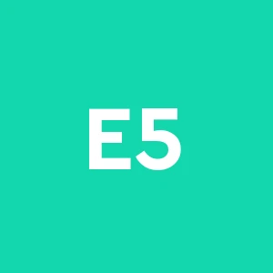 Edil 5 Di Roggiani Bruno e Roggiani Alex e C. S.n.c.