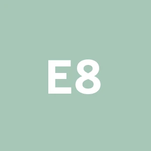 Edil-81 Di Trentanove Dino