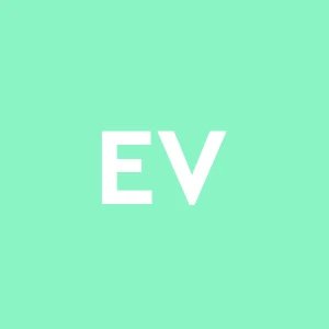 Edil Vuillermoz