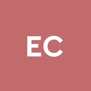 Effe Consulting S.a.s. Di Braglia Luca & C.
