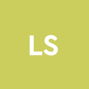 L.m.s. S.r.l.