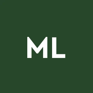 Mies Luigiartigiano Edile 