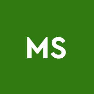 M.m. S.r.l.