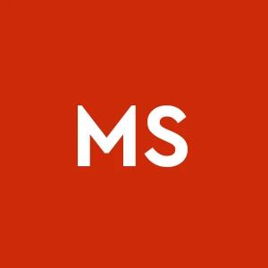 Ms Service Srls