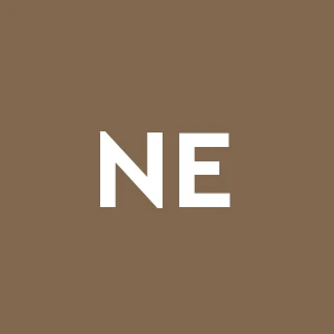 N.e.m.nuova Edilizia Monumentale Srl