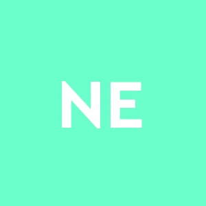 Neri Edilizia Di Neri Giorgio S.a.s.