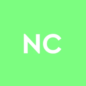 Neroni Costruzioni S.r.l.