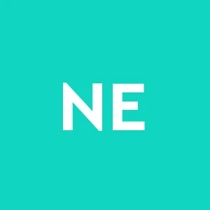 New Edenlandia S.p.a.