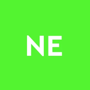 New Edil Costruzioni S.r.l.