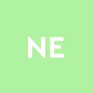 New Edil Group S.r.l.