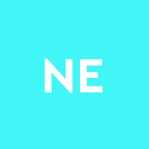 New Ediline Costruzioni Generali S.r.l.