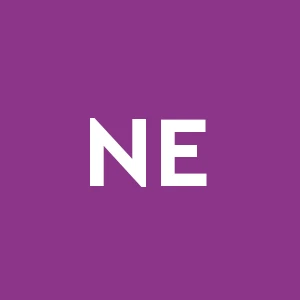 New Emilia Interventi S.r.l.