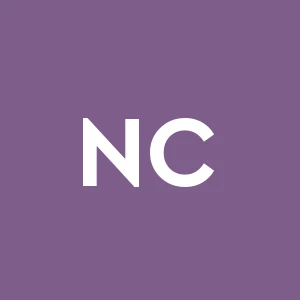 Nitti Costruzioni S.r.l.