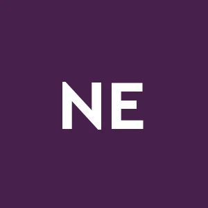 Nord Est Group S.r.l.