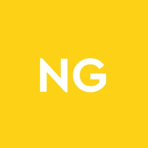 N.p.g. Group S.r.l.