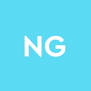 Nunziatini Gino e Figli (s.n.c.)impresa Edile 