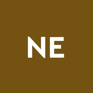 Nuova Eco Edilizia Srl