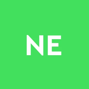 Nuova Edil Pezzo Di Pezzo Leonard & C. S.a.s