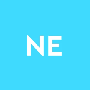 Nuova Edilgesso Di Berto Sandro & C. Snc