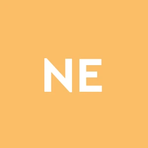 Nuova Edilizia Civile S.r.l.