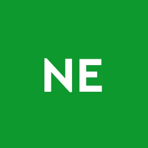 Nuova Edilizia Pantaleoni Elvirio & C. (s.n.c.)